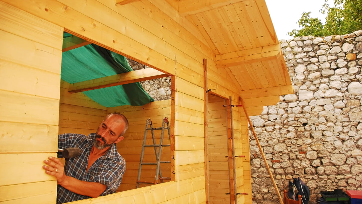 Building Shed